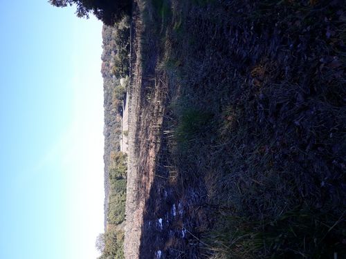 20201030_079.jpg