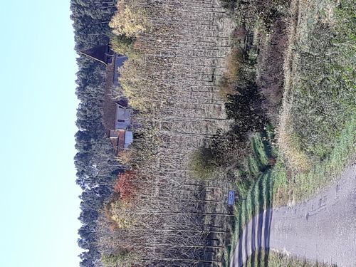 20201031_083.jpg