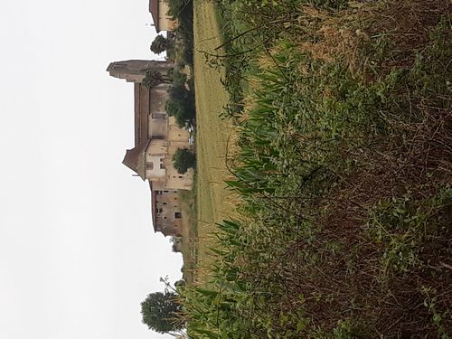 20210723_006.jpg