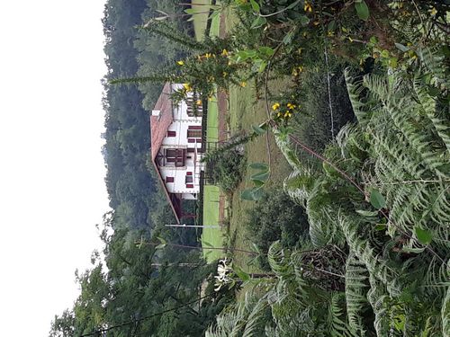 20210728_002.jpg