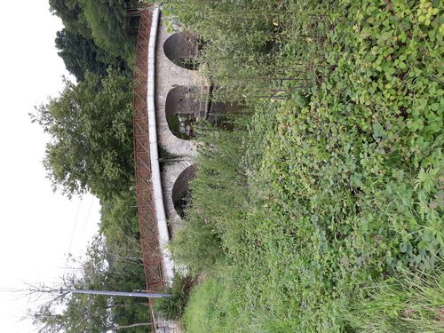 20210728_005.jpg