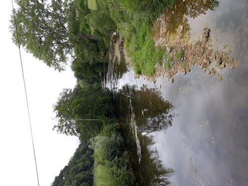 20210728_006.jpg