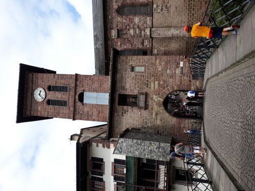 20210729_004.jpg