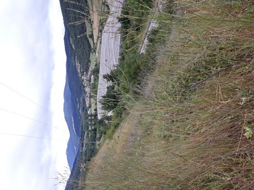 20210731_006.jpg