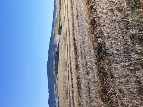 20210802_001.jpg
