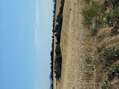 20210802_002.jpg