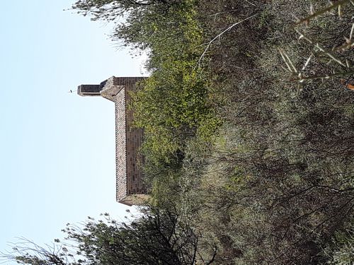 20210803_003.jpg