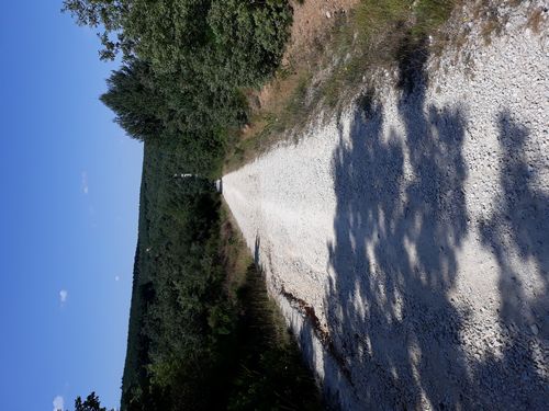 20210809_006.jpg
