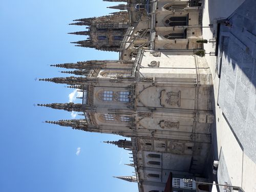 20210810_004.jpg