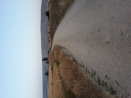 20210813_001.jpg