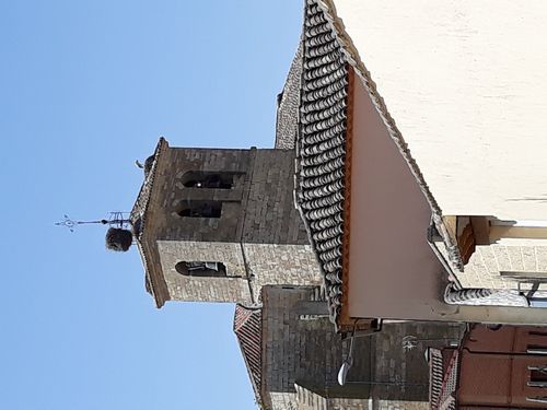 20210813_003.jpg