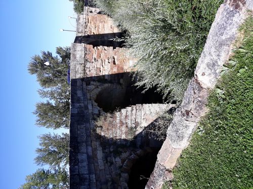 20210816_004.jpg