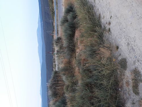 20210822_001.jpg