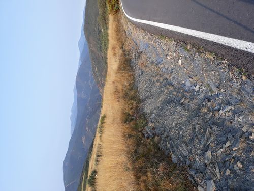 20210822_007.jpg