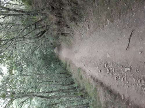 20210825_001.jpg