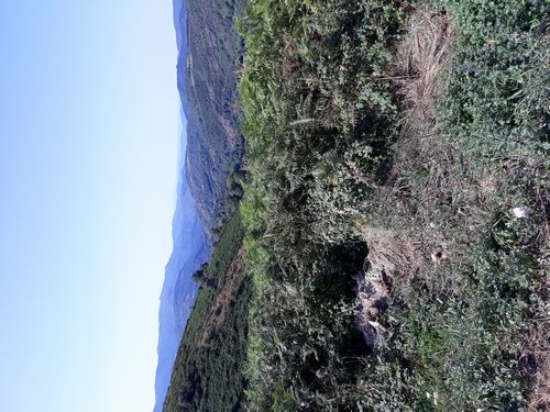 20210825_007.jpg