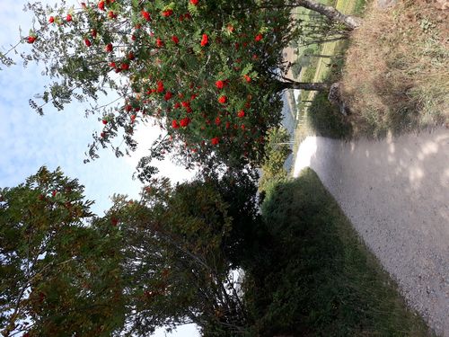 20210826_003.jpg