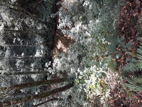 20210826_004.jpg