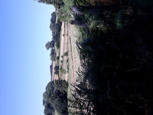 20210827_002.jpg