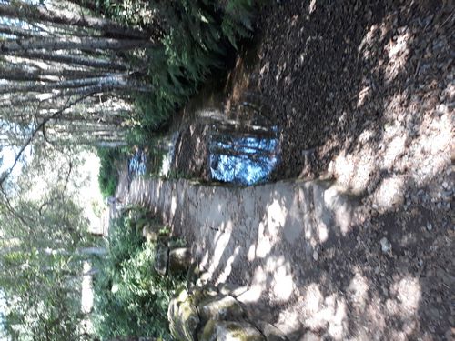 20210827_003.jpg