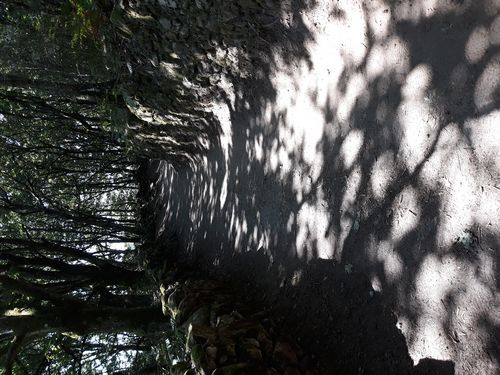 20210827_004.jpg