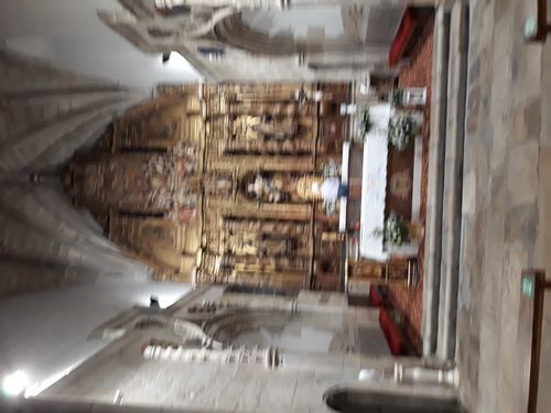 20210829_006.jpg