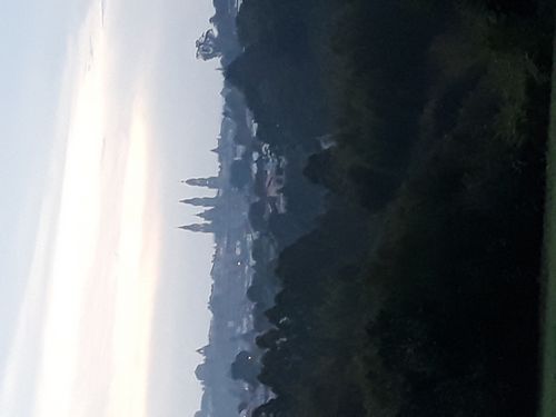 20210901_001.jpg