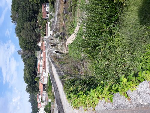 20210901_004.jpg