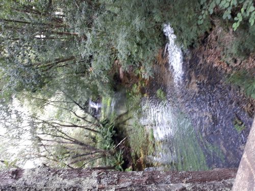 20210901_006.jpg