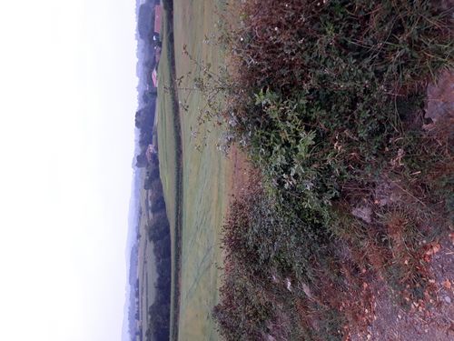 20210902_001.jpg