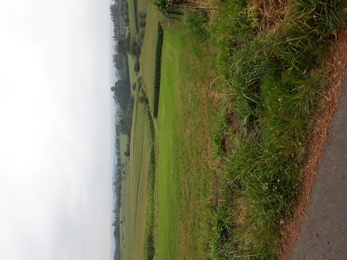 20210902_003.jpg