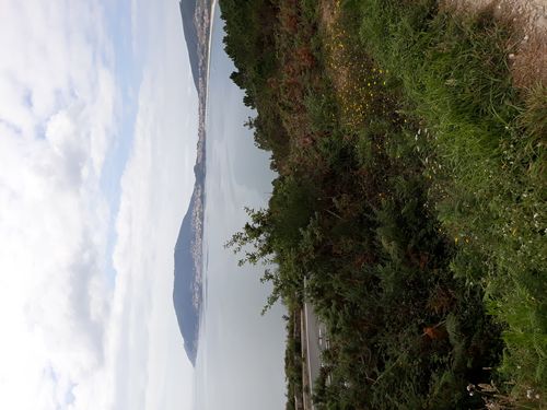 20210903_010.jpg