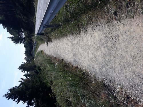 20210903_015.jpg