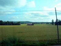 DSCN4149