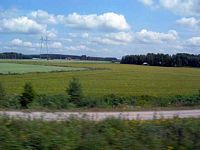 DSCN4152