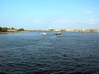DSCN4455