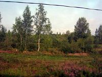 DSCN4461