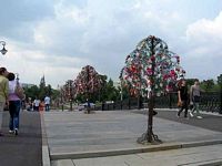 DSCN4619
