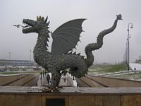 DSCN4701