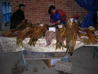 DSCN4757