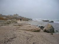 DSCN4842