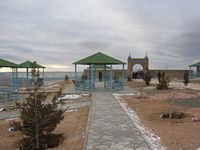 DSCN4905