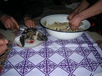 DSCN4916