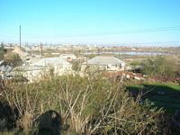 DSCN5023