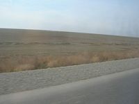 DSCN5044