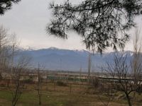 DSCN5052
