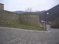 DSCN5056
