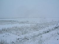 DSCN5064