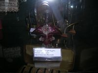DSCN5116