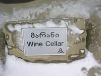 DSCN5132
